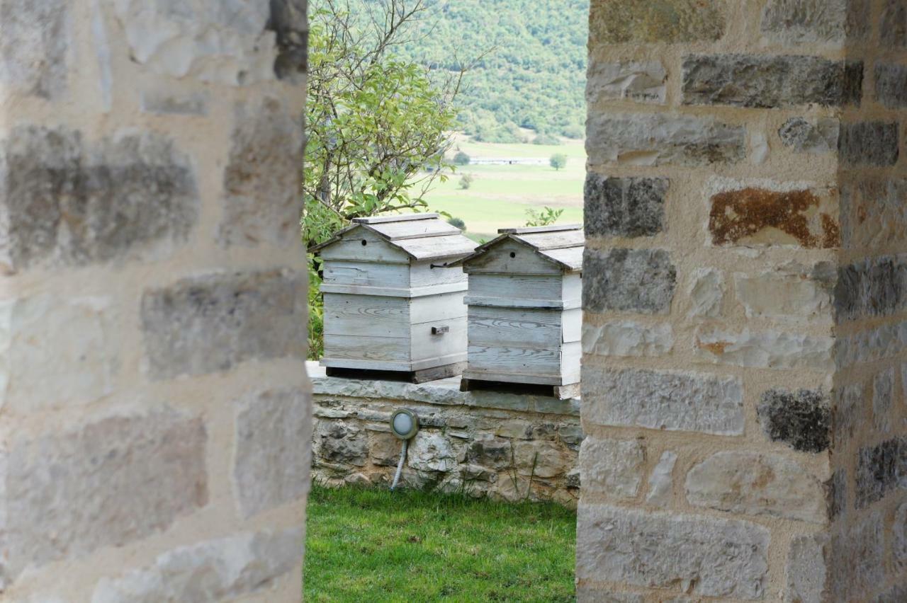"Apeiros Chora" Hotel, Zagori Kato Pedina Eksteriør billede